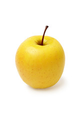 Apple golden on a white background