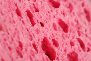 Pink sponge