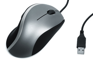 The mouse with a wheel on a white background