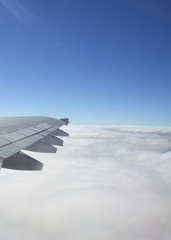 Wing on a plane