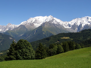 Mont Blanc vu des Communailles en été