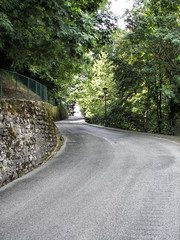 Viale alberato