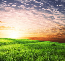 Green field on sunrise