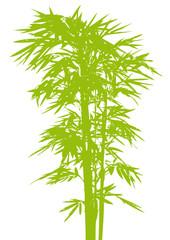 vectorial bambou