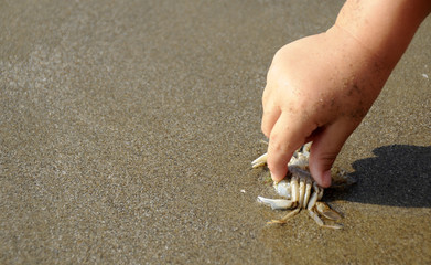 Ho preso un granchio