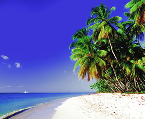 Traumstrand auf Tobago