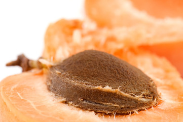 object on white - raw food apricot macro