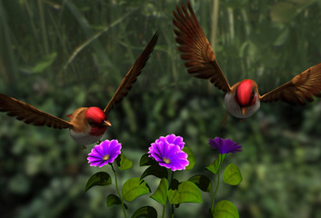 birds and flowerses