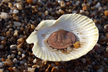 copy of ancient greek copper coin in sea shell