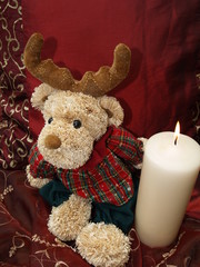 Weihnachtselch