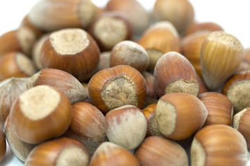 hazel nut isolated over the white background
