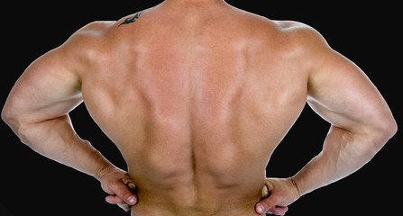 Back view of a body builder