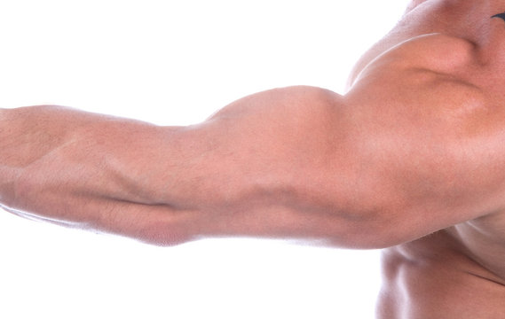 Bicep close up , isolated on white