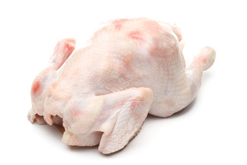 Fresh chicken on a white background. Close up © Dmitriy Melnikov
