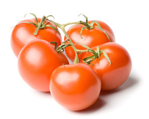 Fresh tomatoes on a white background