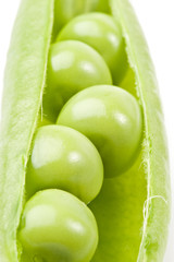 Fresh pods of peas on a white background