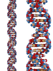 DNA Strand