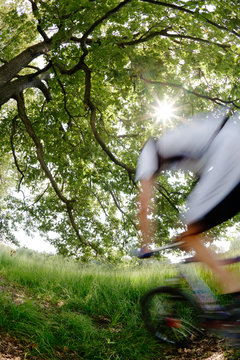 A mountain biker riding in a woods; blur effect, fish-eye lens