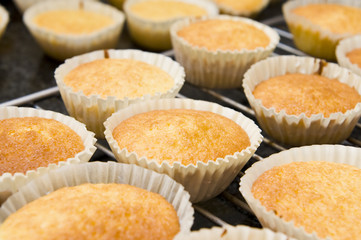 Freshly baked cupcakes cooling down on an oven grid.