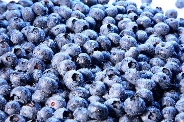 Blaubeeren