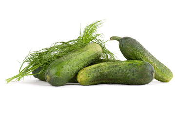 Cucumber
