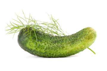 Cucumber