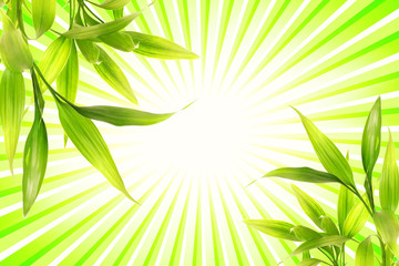 Fototapeta na wymiar Bamboo plant over abstract green background
