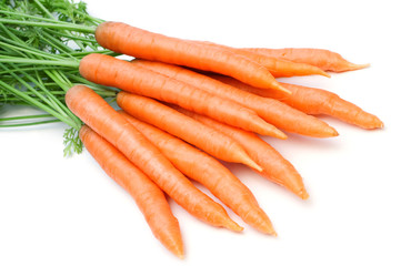 fresh carrots on white background
