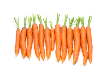 fresh carrots on white background
