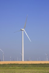 wind turbine field