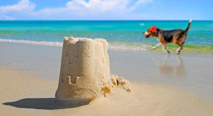 Dog prancing by pretty sand castle built at seashore