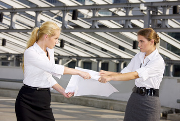 picture of two angry businesswomen fighting for contract