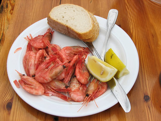 shrimps in the plate