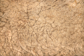 Wool Background 1