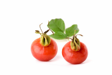 Rose Hip