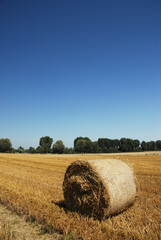 Strohballen 2