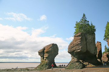 Hopewell Rocks,New Brunswick, Canada at low tide.