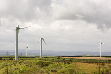 wind turbine electicity generator towers in summer