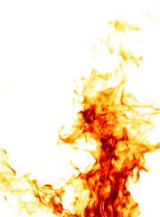 Fire isolated on white
