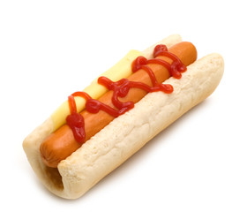 hot dog on white background
