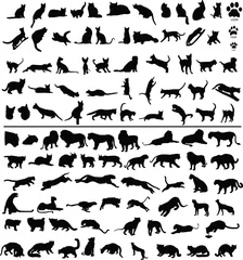 Poster Chat 100 silhouettes of big and small cats