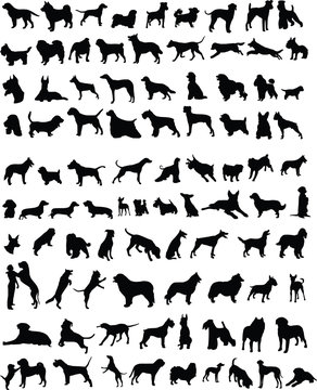 100 silhouettes of different breeds of dogs