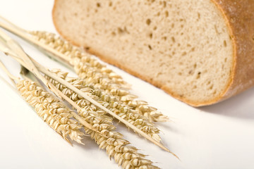 bread and wheat on white background