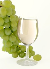 white wine and grapes