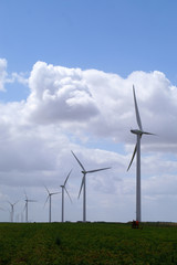 Fototapeta na wymiar champ d'éoliennes 6
