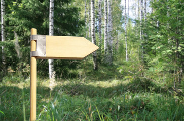 Direction sign in forest.