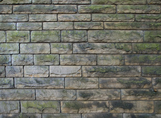 Fototapeta premium Stone Wall & Snail 02