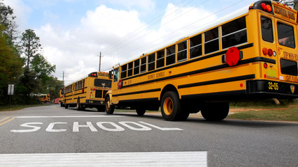 School buses lined up at school crosswalk - 9057398