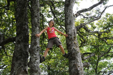 Fototapeta premium Treewalking