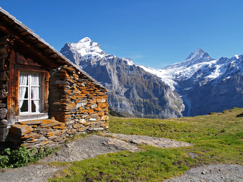 Fototapeta Swiss alps. First. Interlaken.
